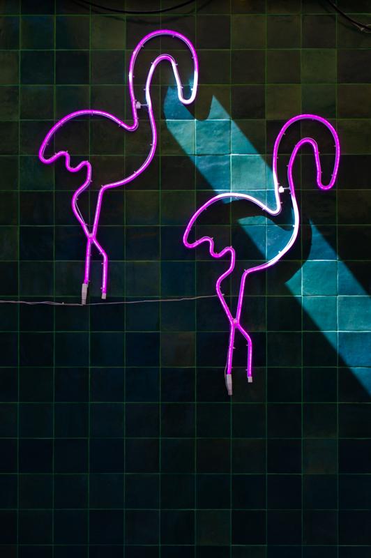Urban neon flamingi kafelki cien — fotografia Maciej Zawiasa